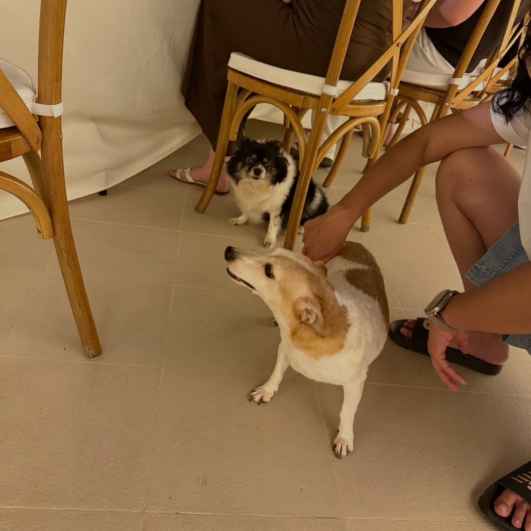 อั้ม - พัชราภา ไชยเชื้อ