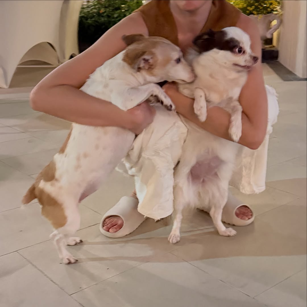 อั้ม - พัชราภา ไชยเชื้อ