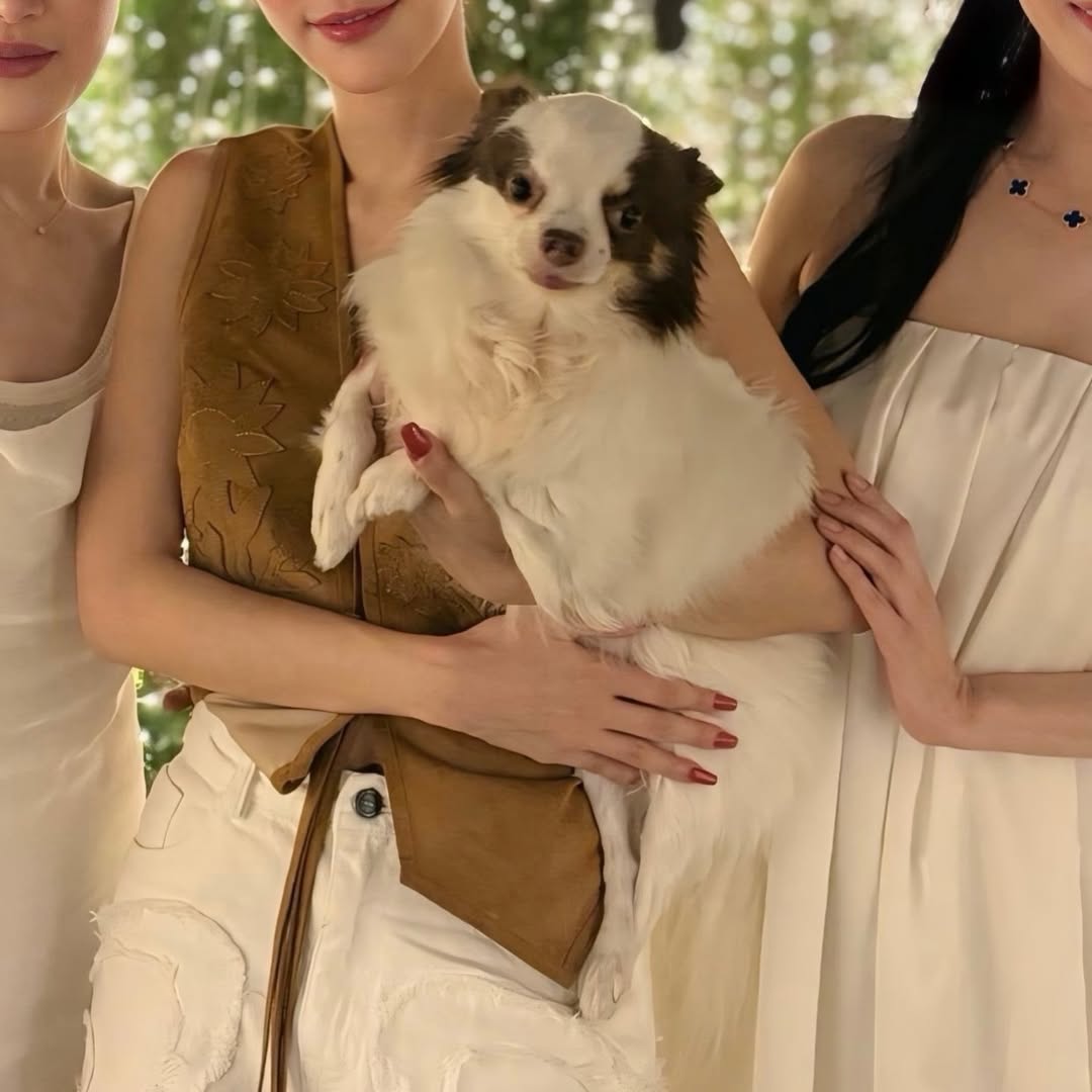 อั้ม - พัชราภา ไชยเชื้อ