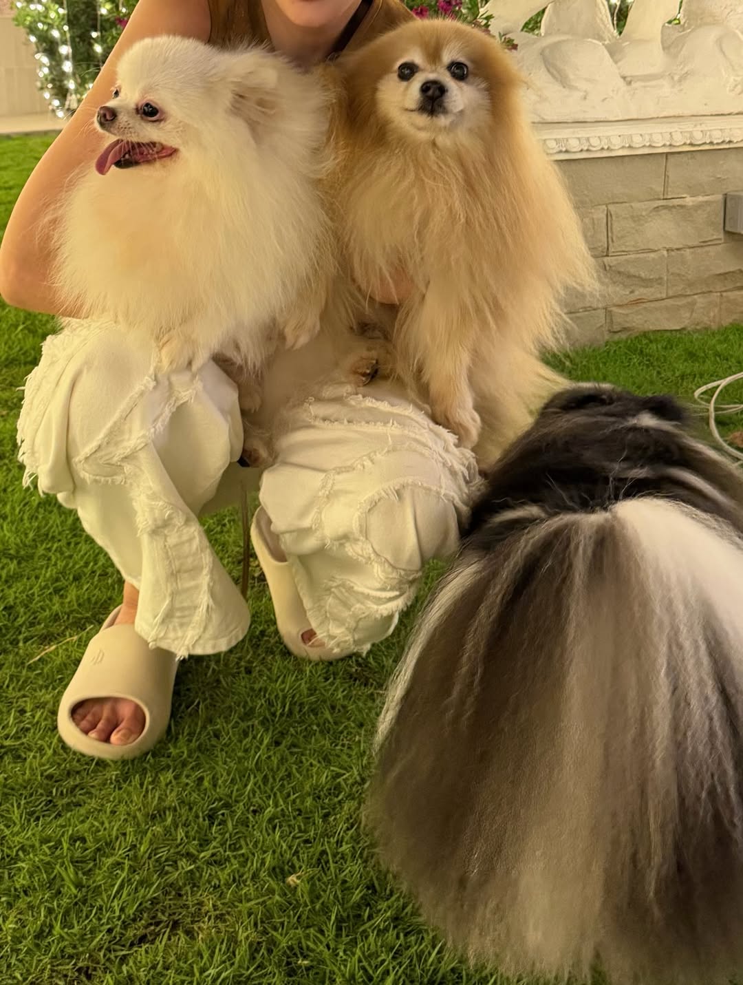 อั้ม - พัชราภา ไชยเชื้อ