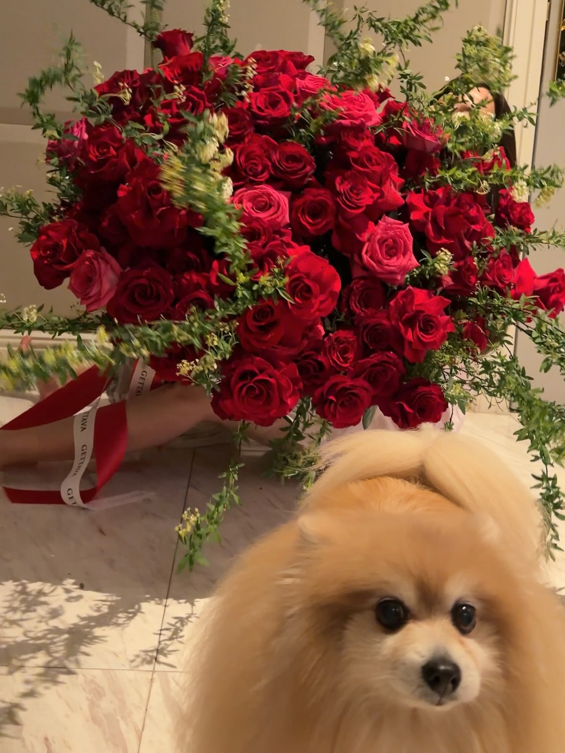 อั้ม - พัชราภา ไชยเชื้อ