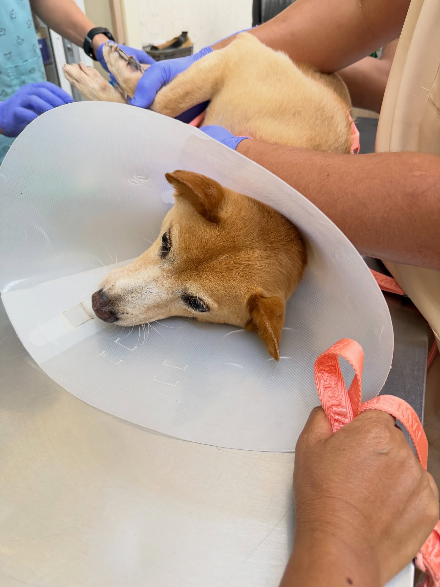 อั้ม - พัชราภา ไชยเชื้อ