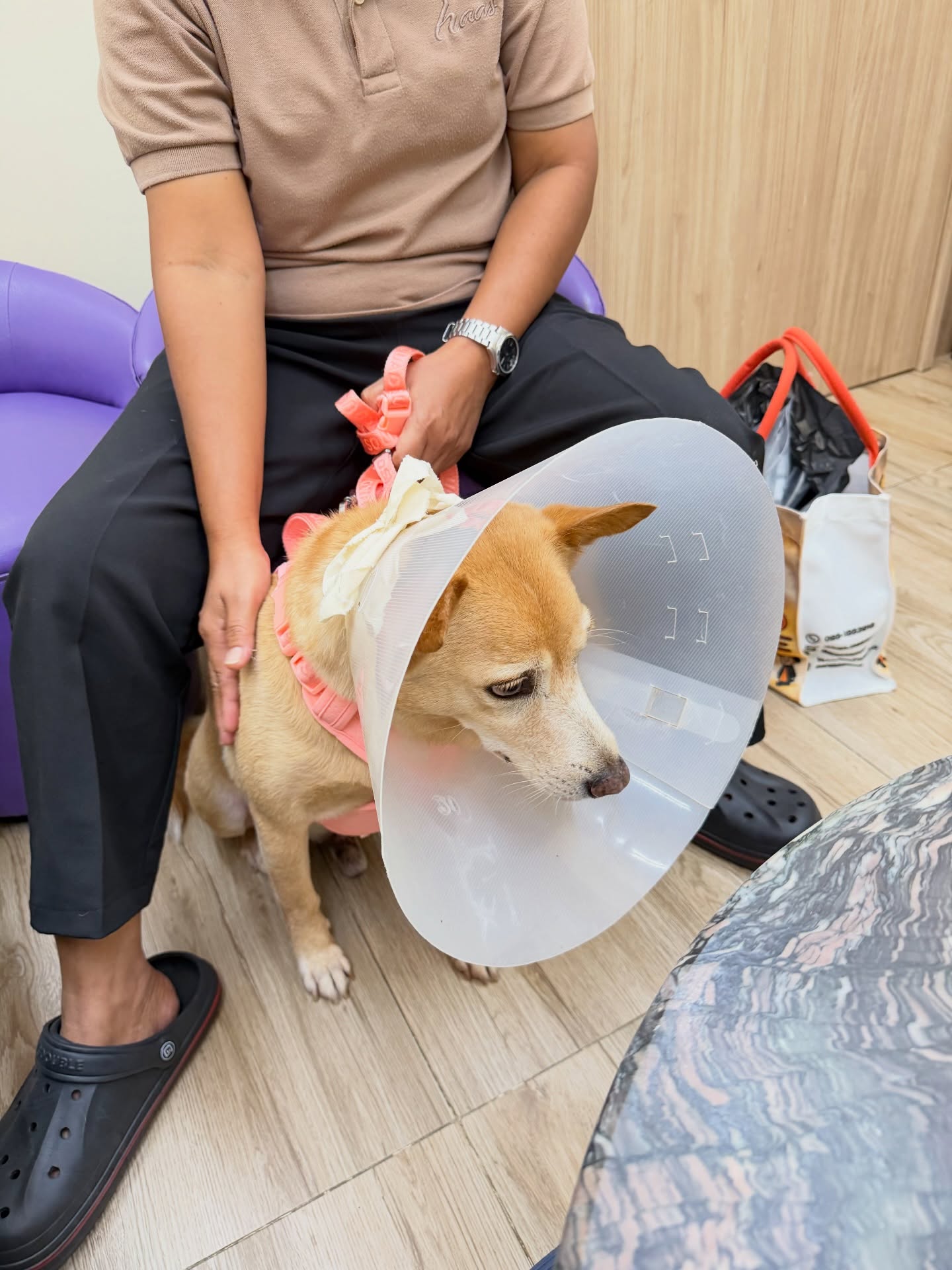 อั้ม - พัชราภา ไชยเชื้อ