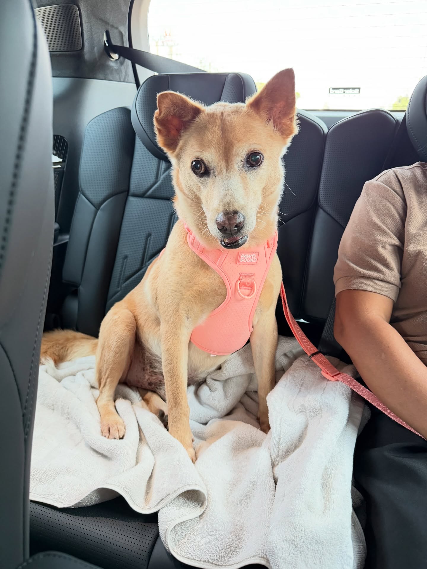 อั้ม - พัชราภา ไชยเชื้อ