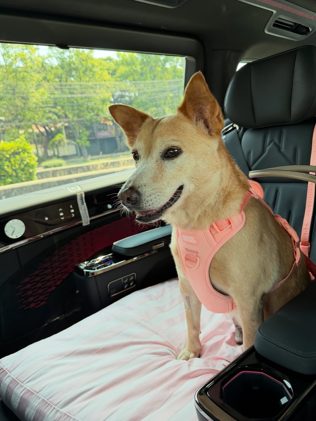 อั้ม - พัชราภา ไชยเชื้อ