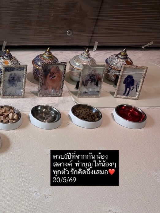 อั้ม - พัชราภา ไชยเชื้อ