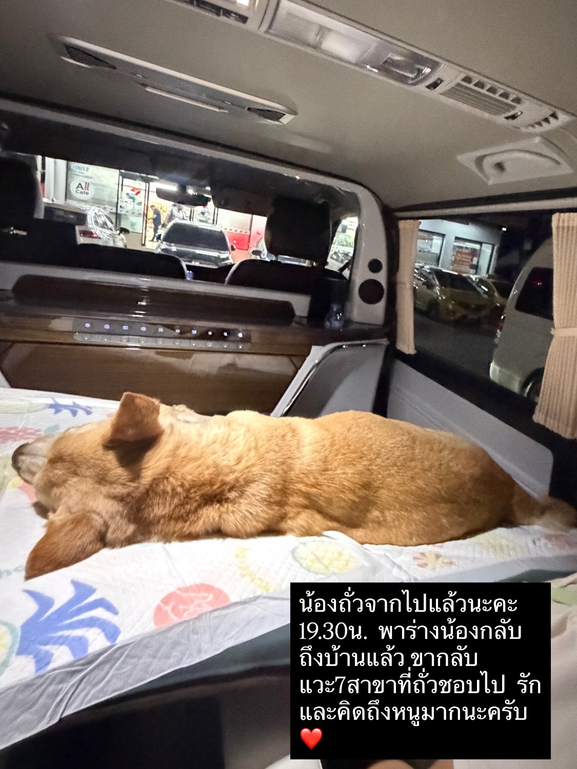 อั้ม - พัชราภา ไชยเชื้อ