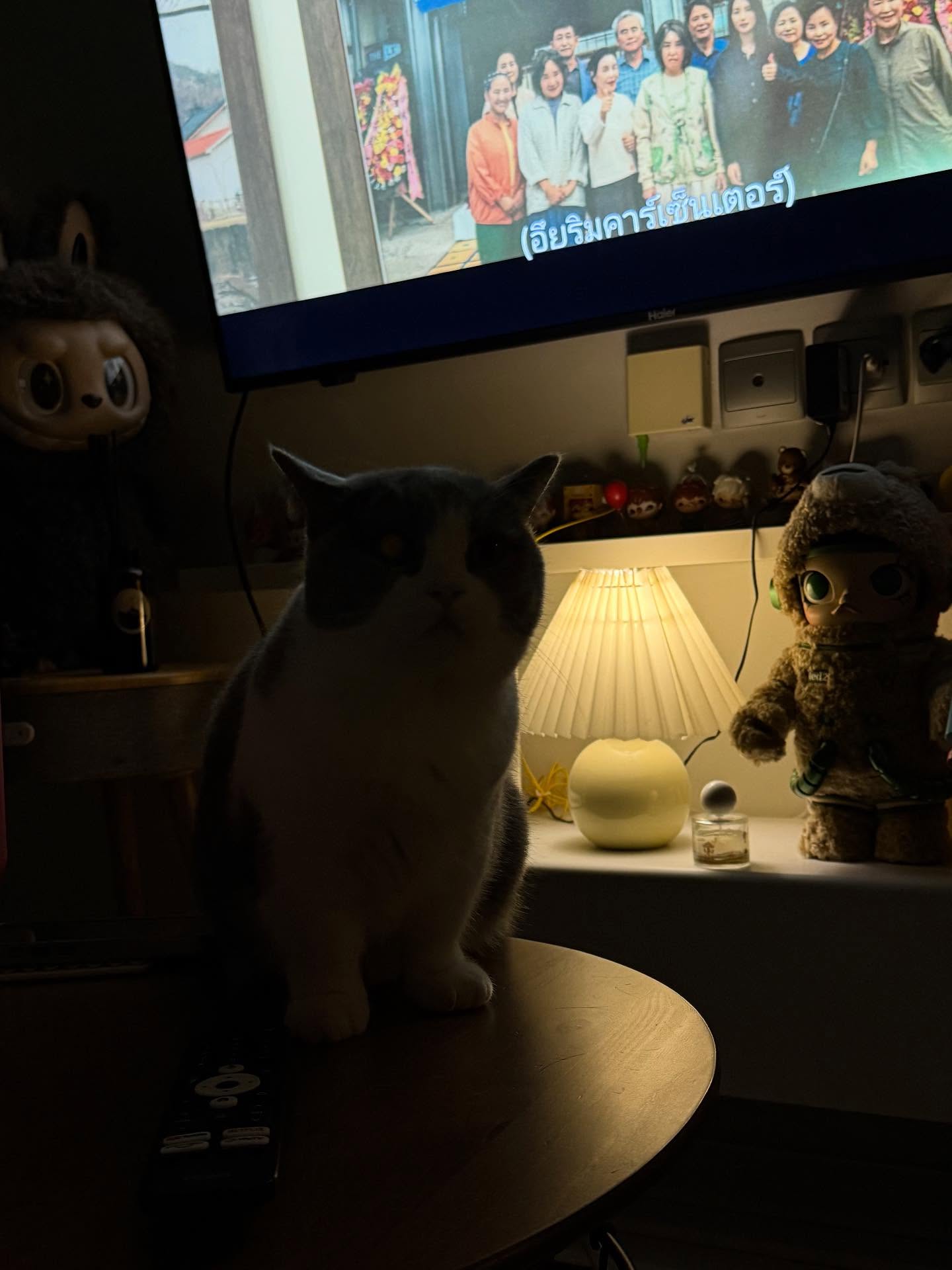 มีนา - ริณา ฉัตรอมรชัย