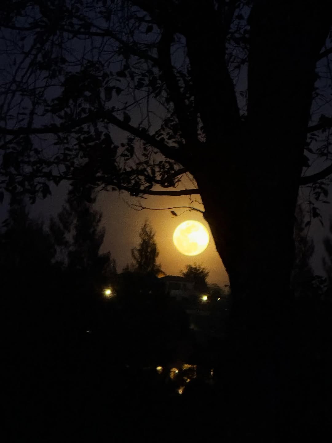 มีนา - ริณา ฉัตรอมรชัย