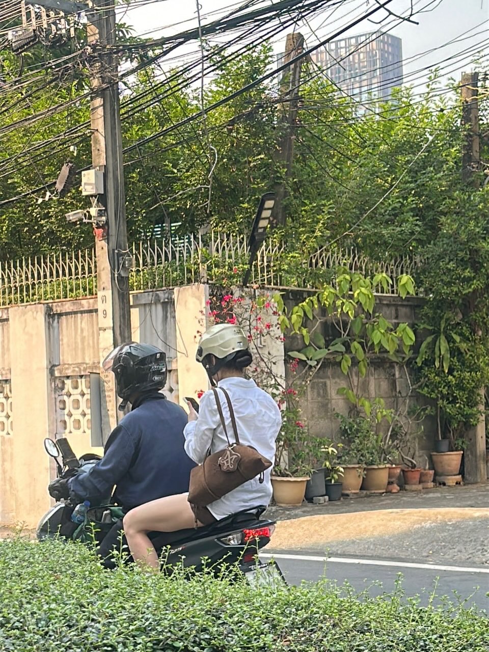 มีนา - ริณา ฉัตรอมรชัย