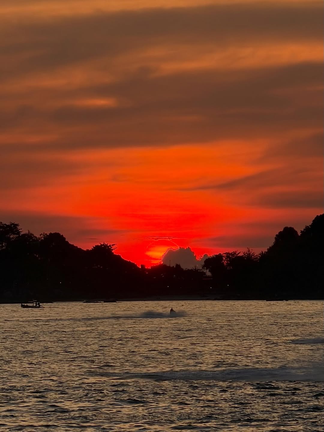 มีนา - ริณา ฉัตรอมรชัย