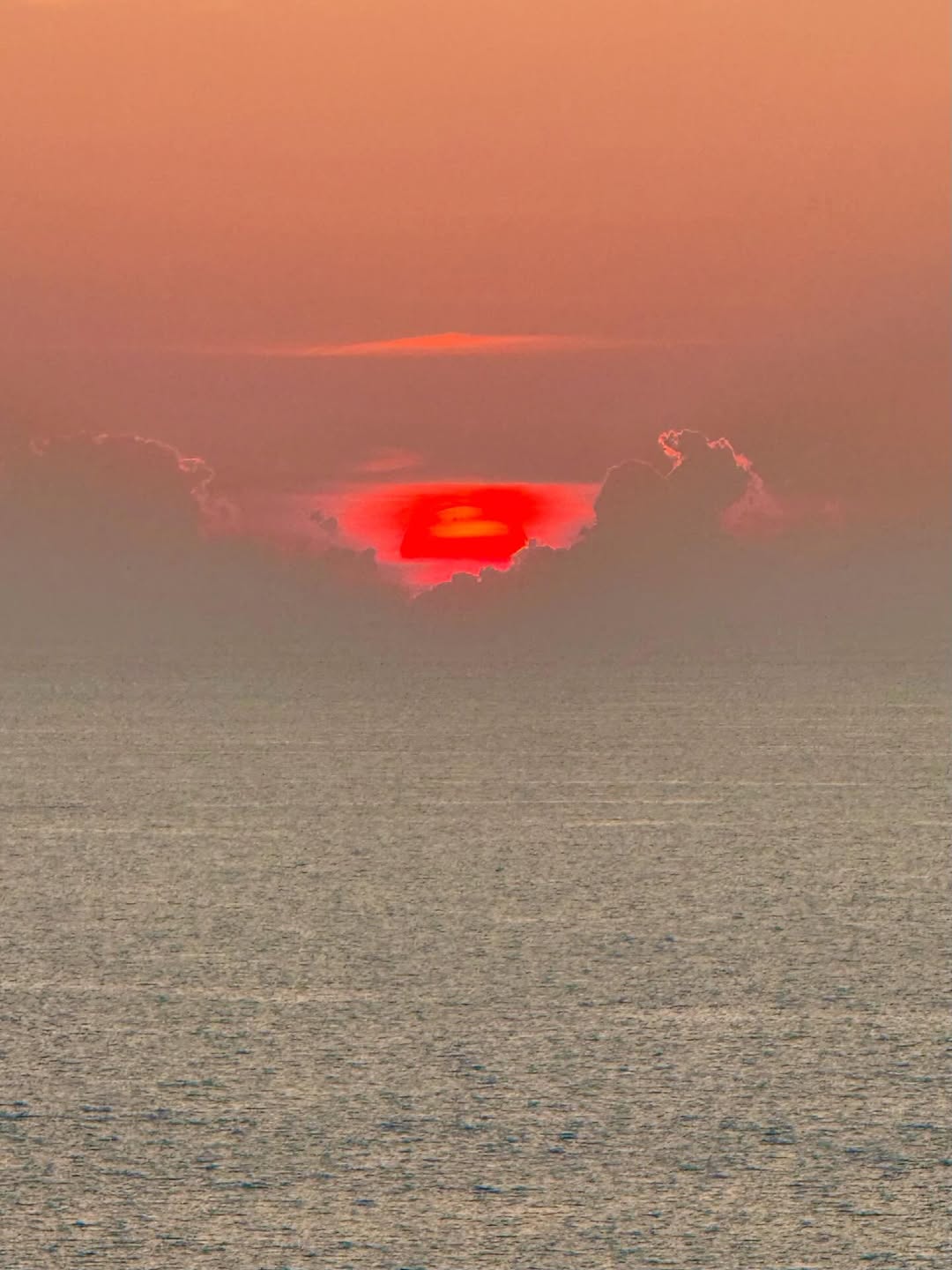 มีนา - ริณา ฉัตรอมรชัย