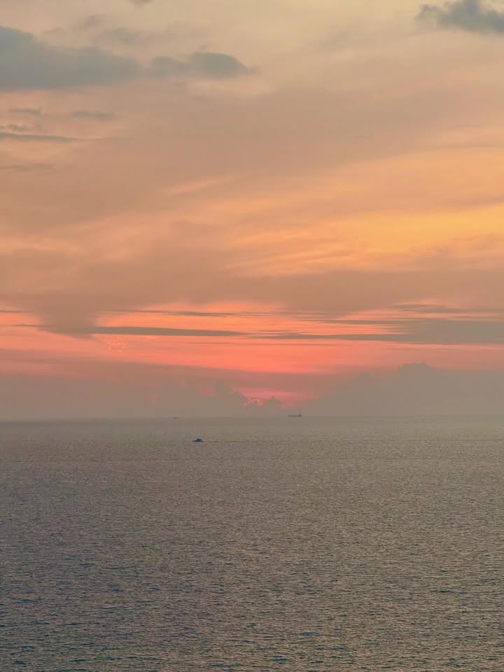 มีนา - ริณา ฉัตรอมรชัย