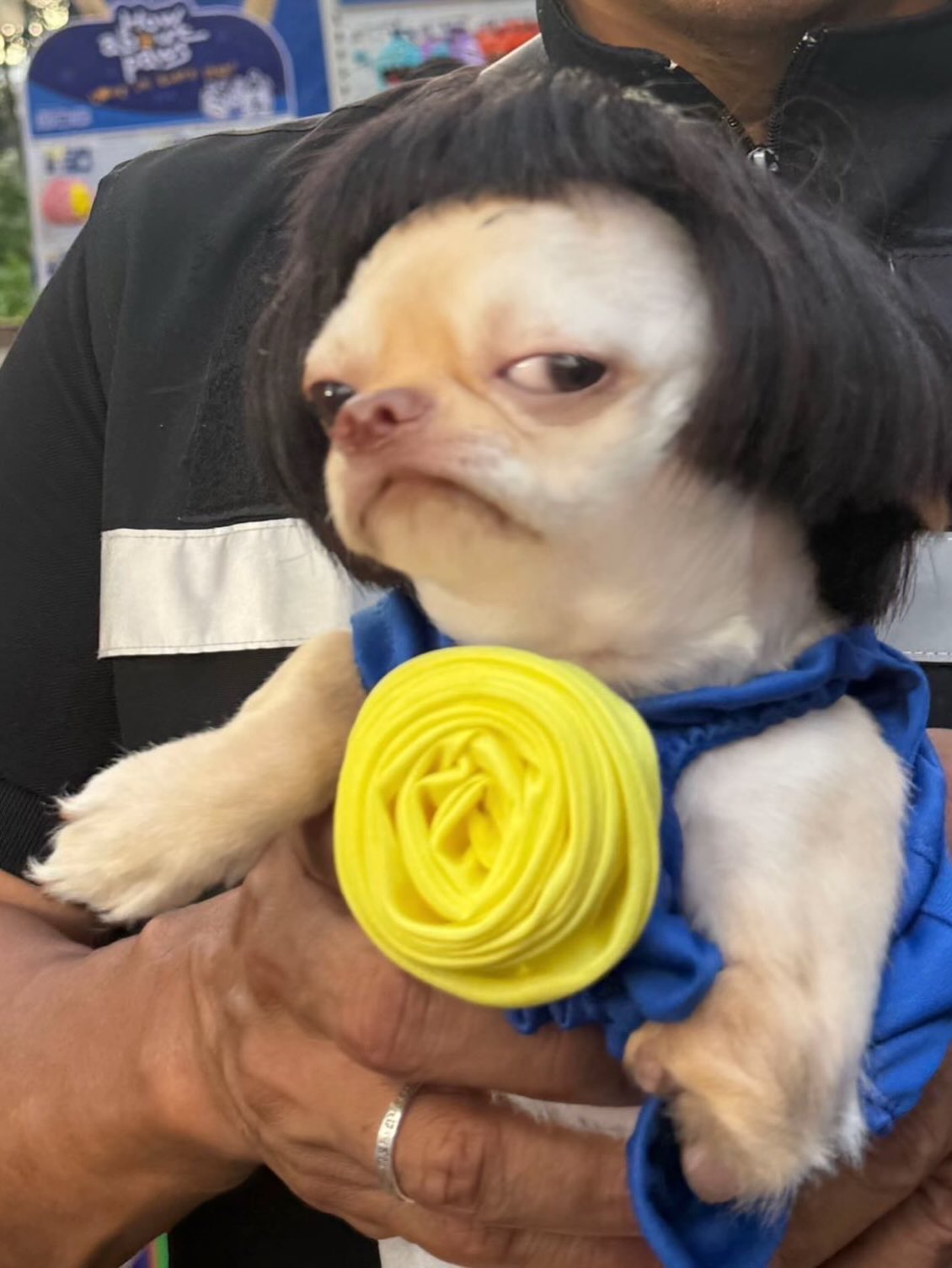 มีนา - ริณา ฉัตรอมรชัย