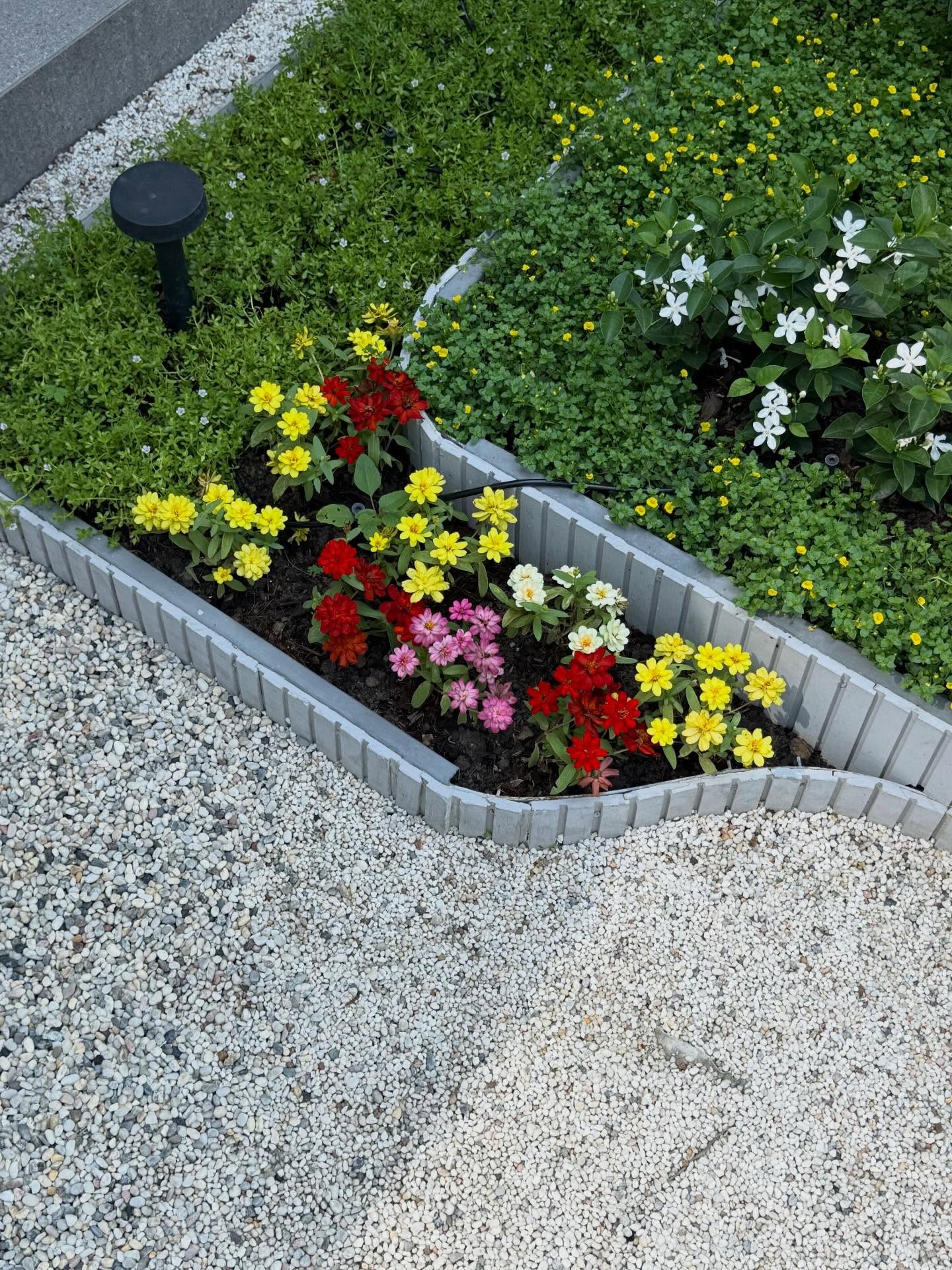 มีนา - ริณา ฉัตรอมรชัย