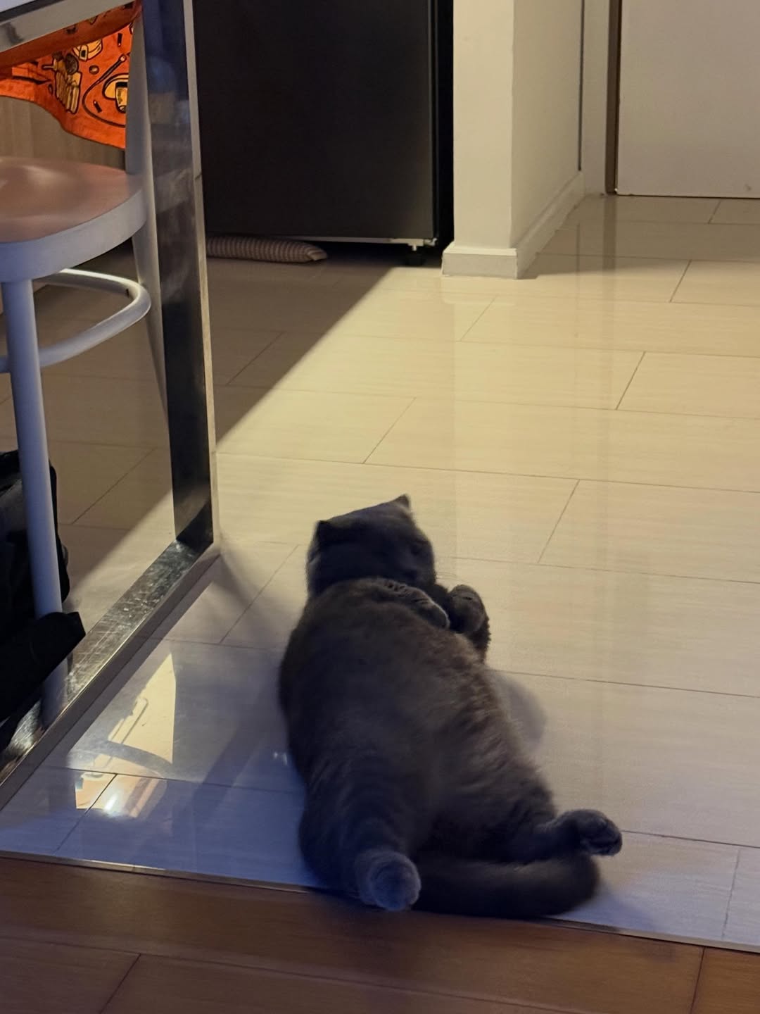 มีนา - ริณา ฉัตรอมรชัย