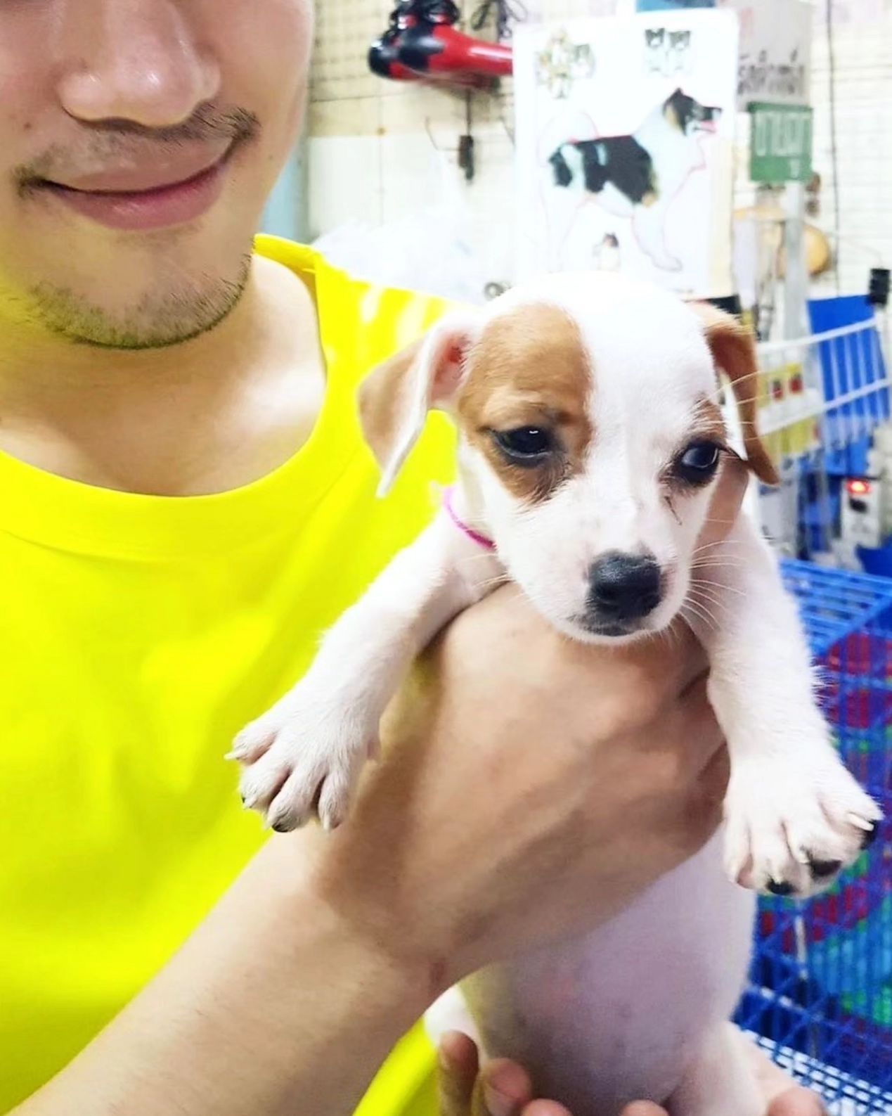 ตี๋ - วิวิศน์ บวรกีรติขจร