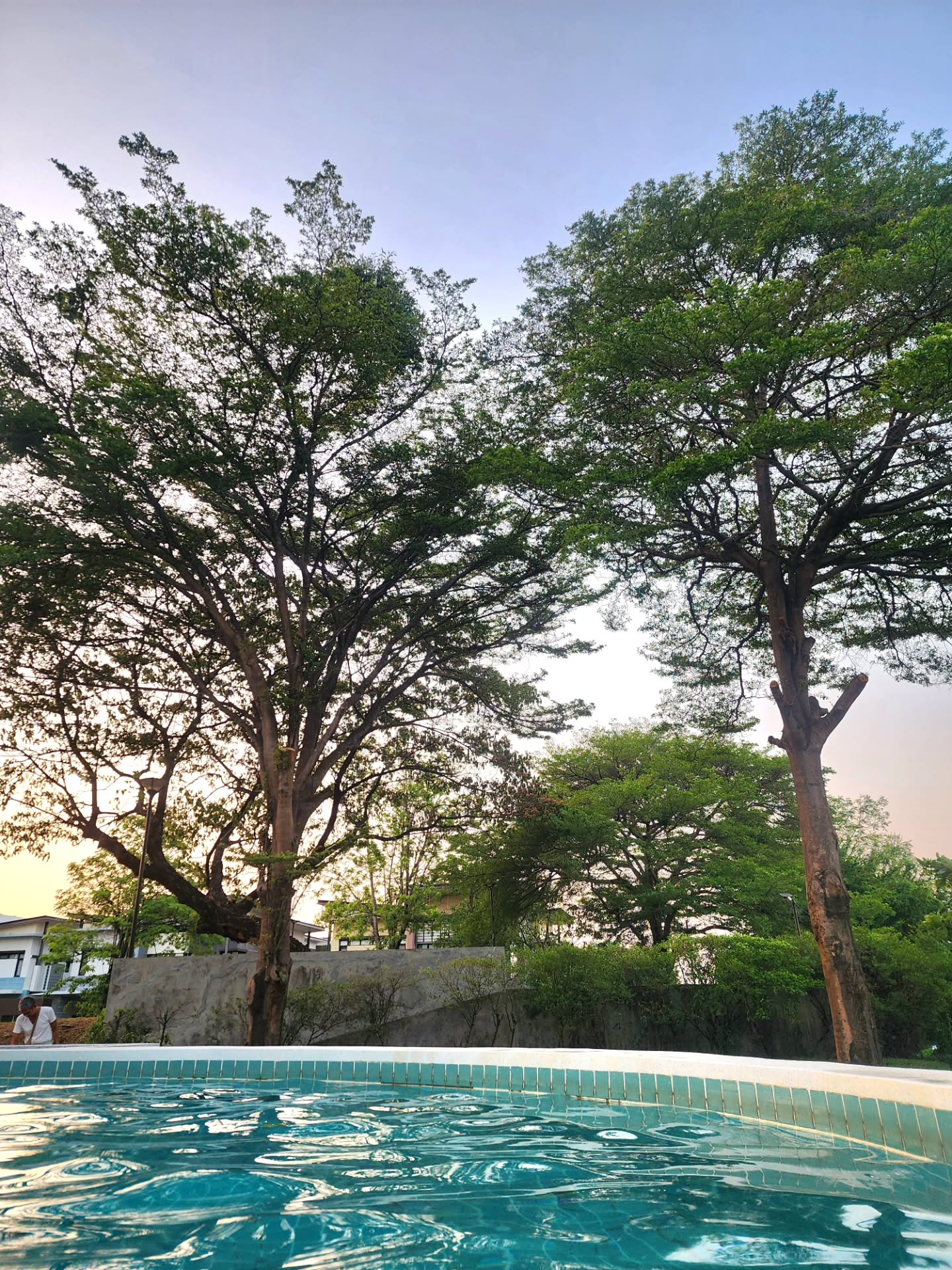 ตี๋ - วิวิศน์ บวรกีรติขจร