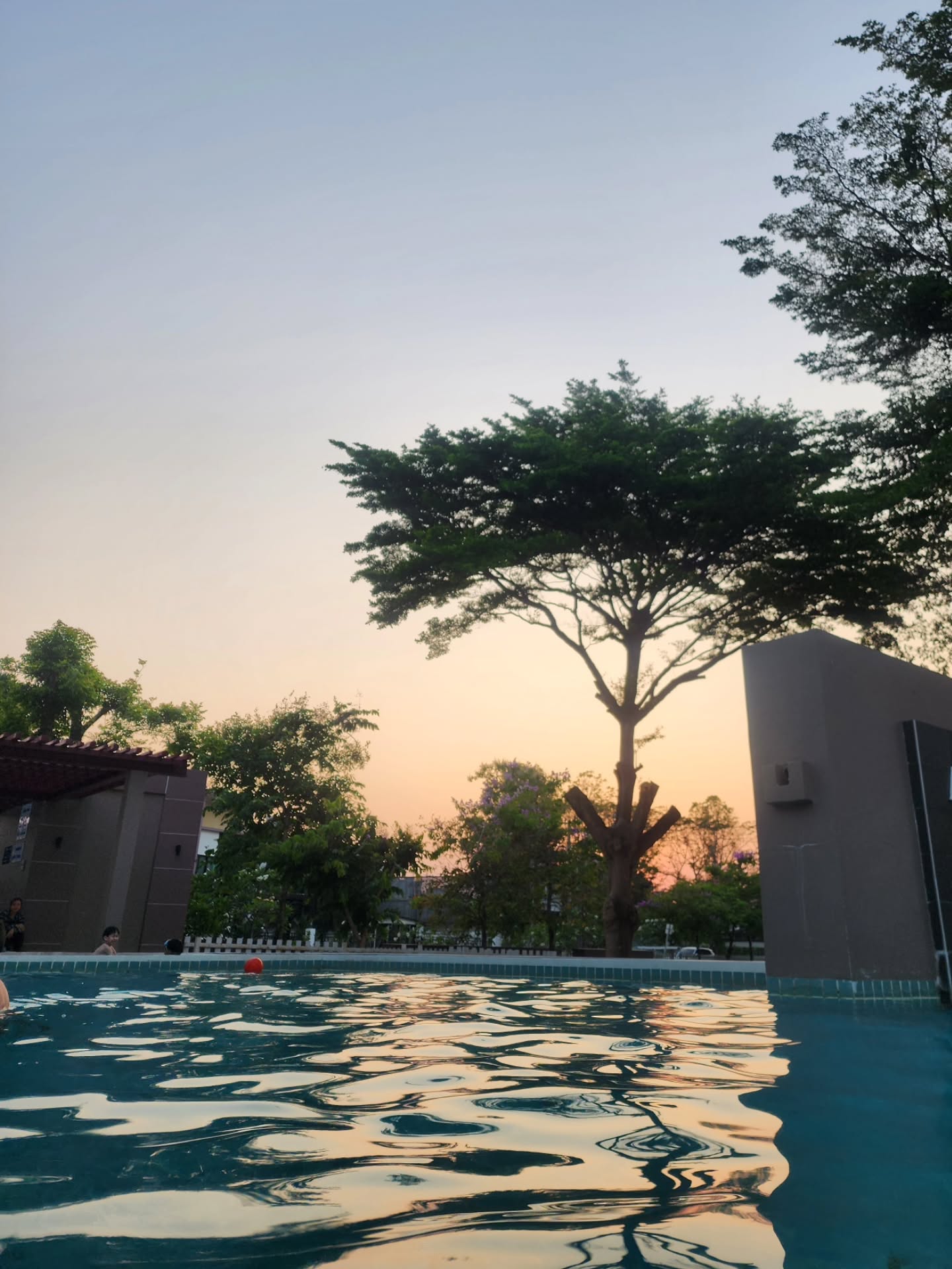 ตี๋ - วิวิศน์ บวรกีรติขจร