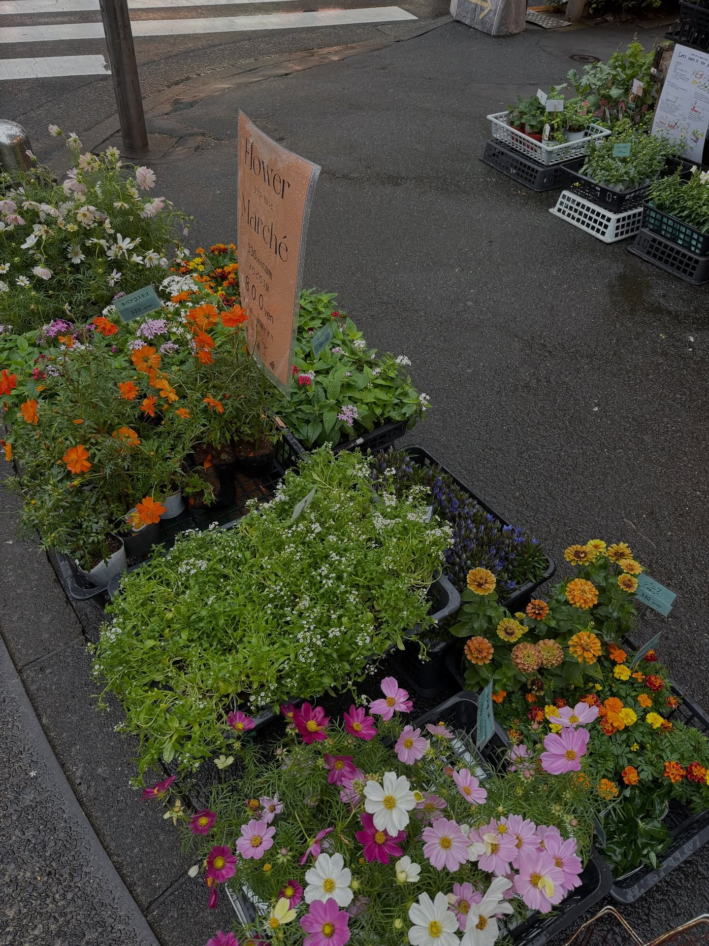 เจน - รมิดา จีรนรภัทร