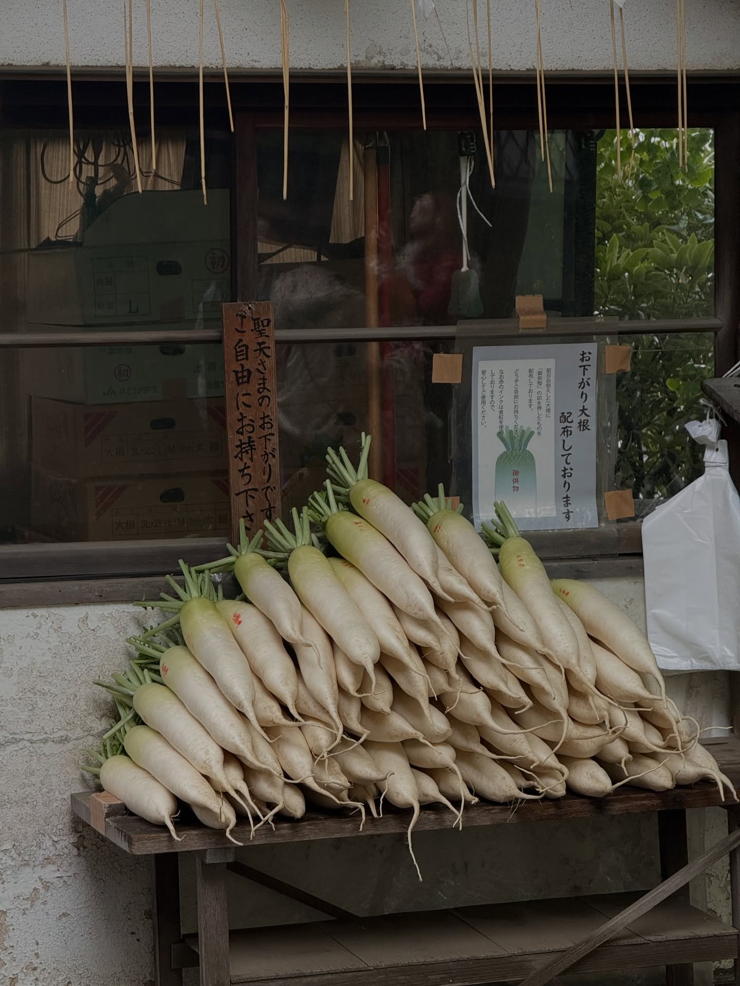 เจน - รมิดา จีรนรภัทร