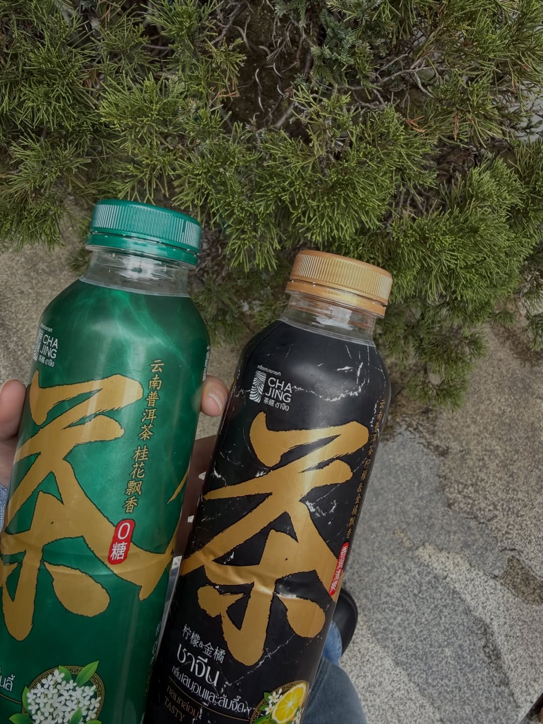 เจน - เมธิกา จีรนรภัทร