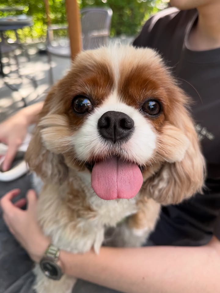 แพรวา - ณิชาภัทร ฉัตรชัยพลรัตน์