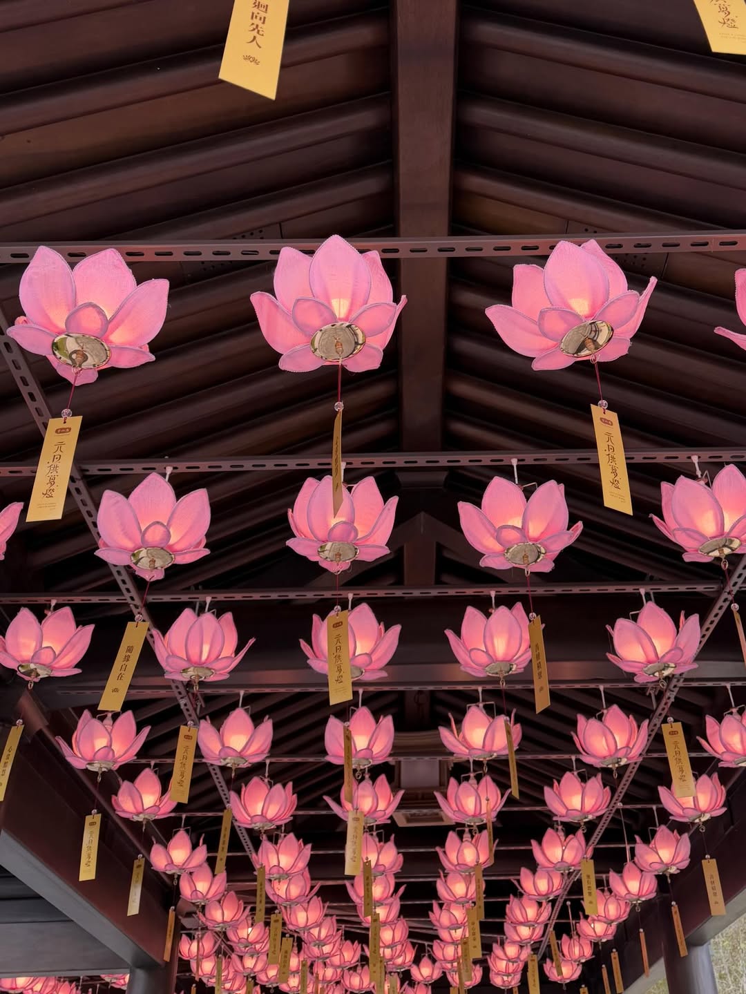 แพรวา - ณิชาภัทร ฉัตรชัยพลรัตน์