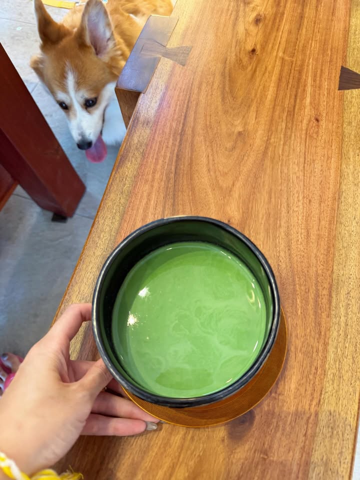 แพรวา - ณิชาภัทร ฉัตรชัยพลรัตน์