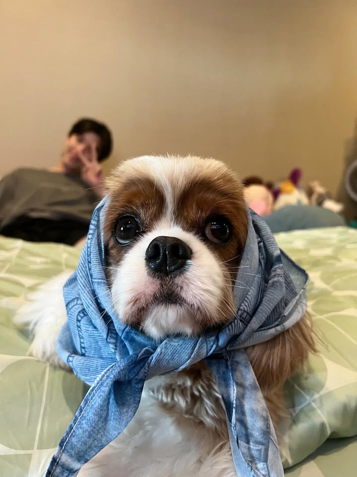 แพรวา - ณิชาภัทร ฉัตรชัยพลรัตน์