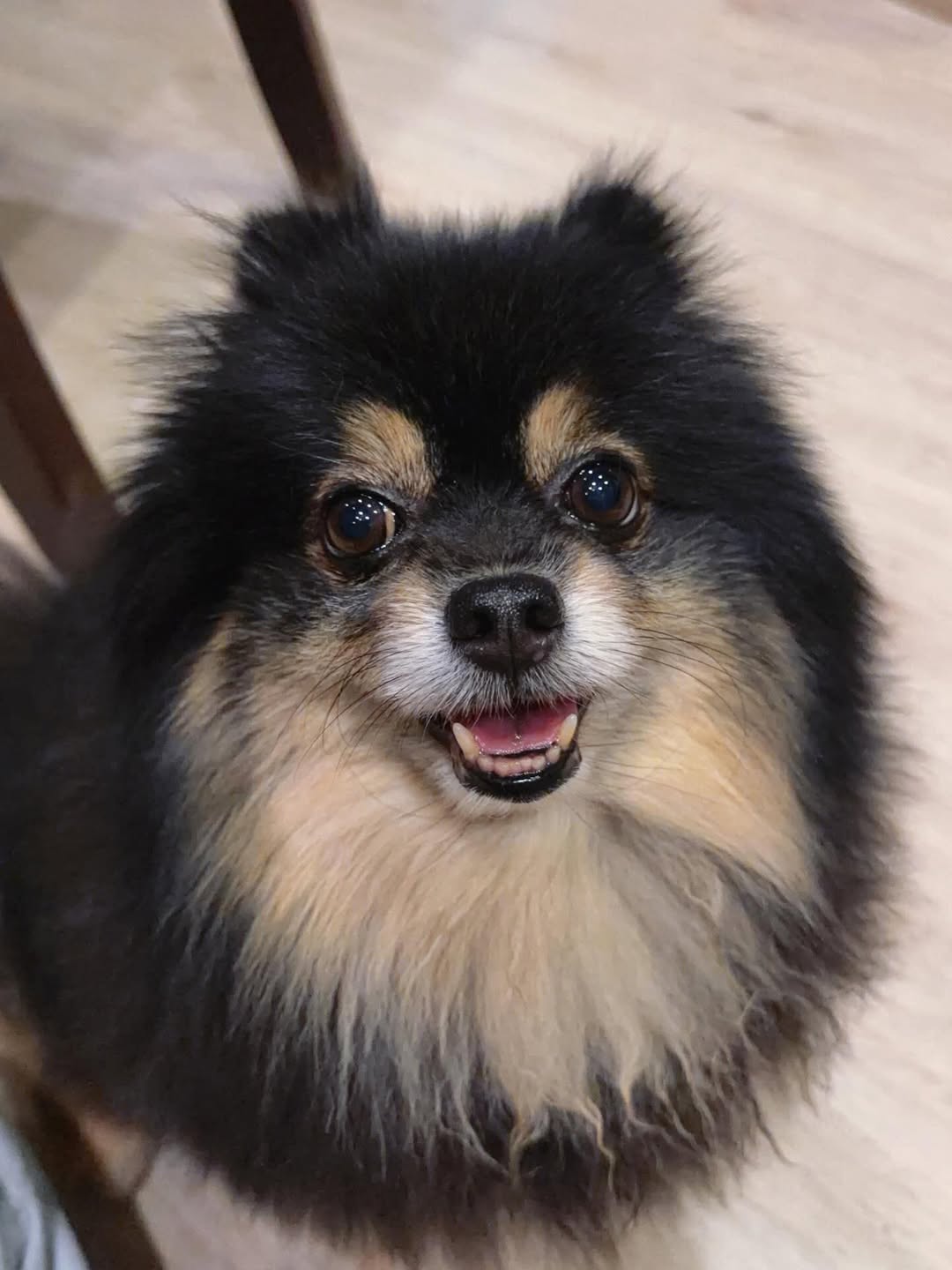 แพรวา - ณิชาภัทร ฉัตรชัยพลรัตน์