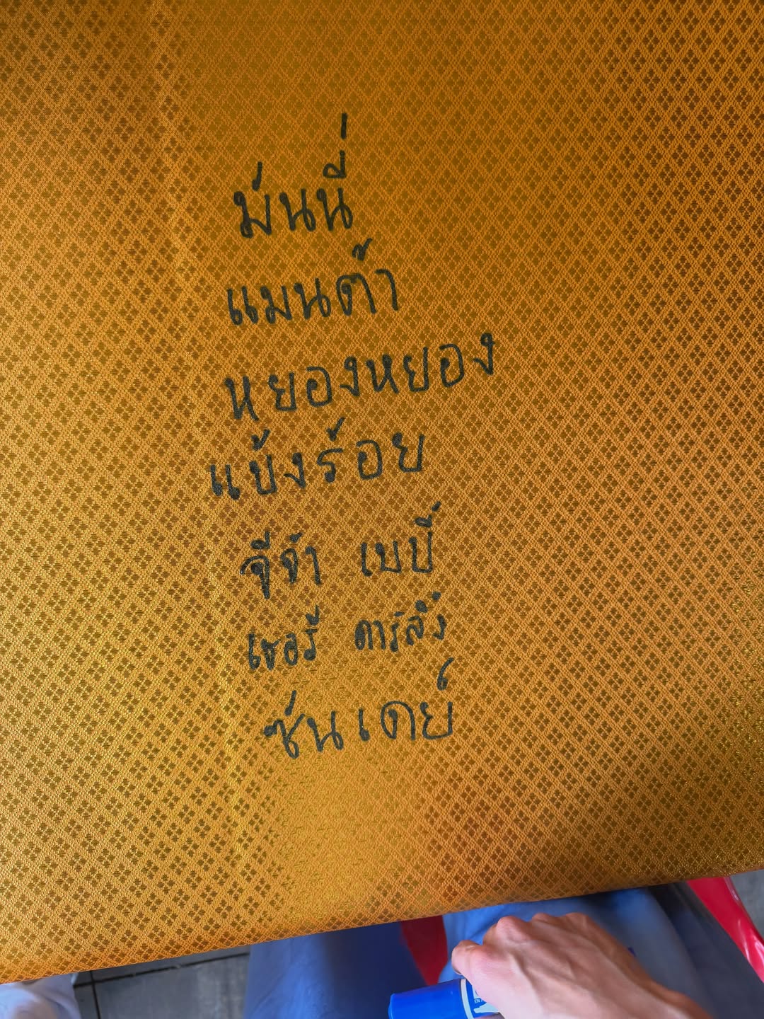 แพรวา - ณิชาภัทร ฉัตรชัยพลรัตน์