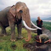 ช้าง มวยคชสาร และ จา เครื่องปรุงเด็ดในเมนู ต้มยำกุ้ง
