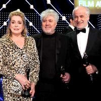 ผลรางวัล ยูโรเปียน ฟิล์ม อวอร์ดส์ ประจำปี 2013