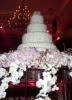 รูปภาพ 86
