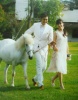 รูปภาพ 86