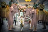 รูปภาพ 4