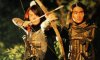 The Legend of Gingko picture