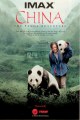 China: The Panda Adventure