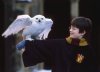 Harry Potter and the Sorcerer's Stone picture