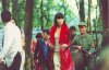 พรางชมพู picture