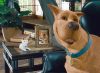 Scooby-Doo picture