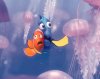 Finding Nemo picture