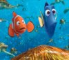 Finding Nemo picture