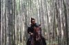 Sword in the Moon picture