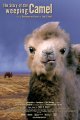 The Story of the Weeping Camel