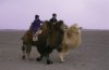 The Story of the Weeping Camel picture