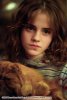 Harry Potter and the Prisoner of Azkaban picture