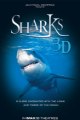 Sharks 3D