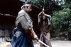 The Hidden Blade picture